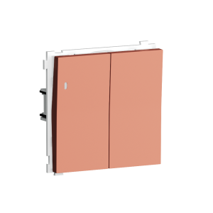 Выключатель двухклавишный встраиваемый Donel R98 с подсветкой Коралл матовый DA03105-DA28545