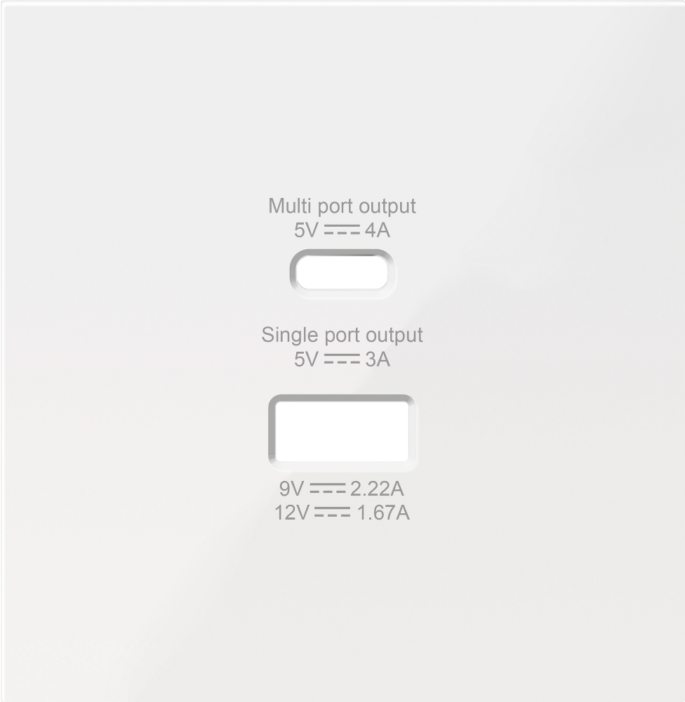 Розетка встраиваемая USB Donel R98 тип A+С быстрая зарядка Белый глянцевый DA20400-DA27703 — изображение 2