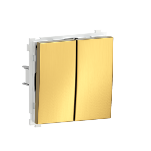 Выключатель двухклавишный встраиваемый звонковый Donel R98 Metal Золото матовое DA25100-DA295BR