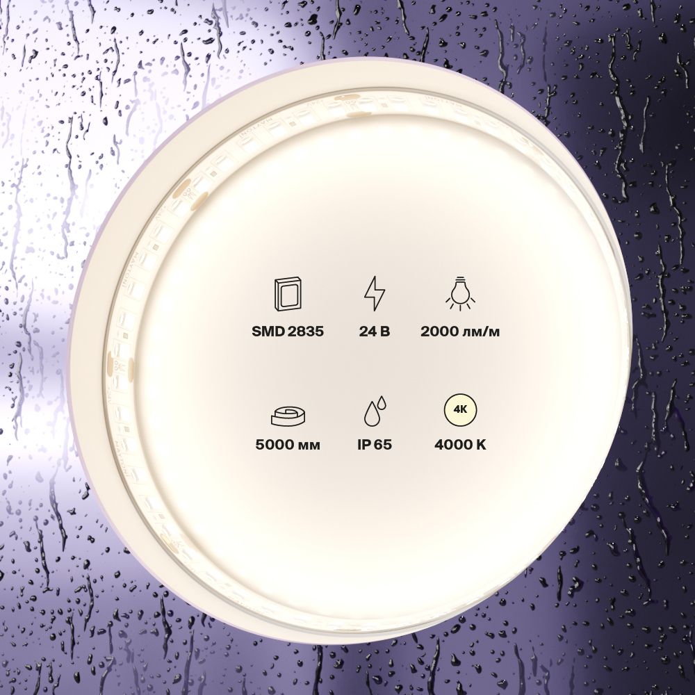 Светодиодная лента Standard Maytoni Led Strip Standard 5 м 4000 K Белый 10158 — изображение 3