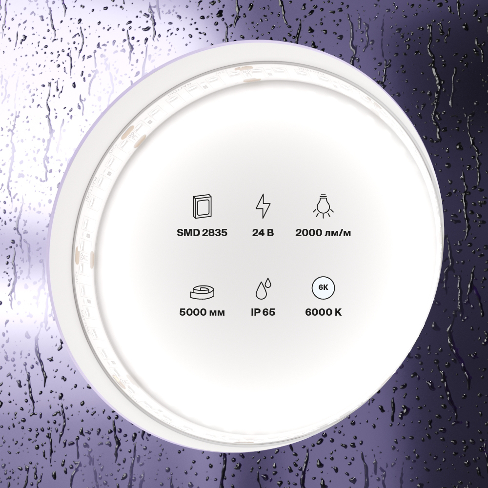 Светодиодная лента Standard Maytoni Led Strip Standard 5 м 6000 K Белый 10159 — изображение 4